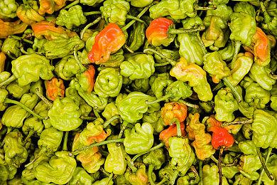 PS主机缺席《无主之地3》跨平台 索尼与2K保持沉默